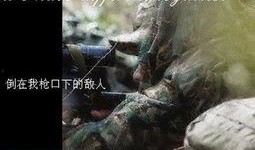 枪口在线下载观看,揭秘网络枪支交易的暗流涌动