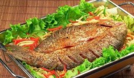 石家庄烤鱼爆料视频曝光,揭秘网红爆火背后的美味传奇