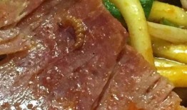 牛肉丸子爆料视频,视频爆料揭示惊人真相