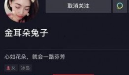 7月娱乐圈大爆料最新的,揭秘惊天大爆料背后的真相