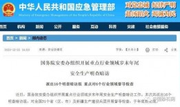 平安最近爆料新闻网络,揭秘网络事件背后真相