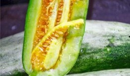 网红条子吃瓜,揭秘娱乐圈背后的秘密与八卦