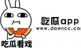 网红a毛毛吃瓜,揭秘娱乐圈幕后真相