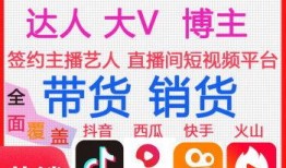 爆料人带货视频大全,爆款视频背后的秘密解析