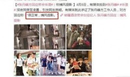 天涯爆料娱乐圈的人id,天涯爆料人ID背后的风云故事