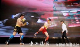 新闻爆料的武术美女新闻,新闻爆料引发热议