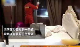 新胁迫2在线观看,在线揭秘危机四伏的惊悚世界