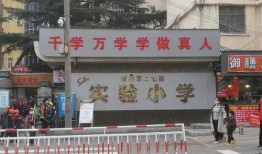 郑州小学爆料案件最新,揭开校园安全隐忧的真相