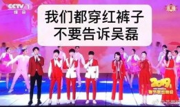 春晚直播在线观看,精彩纷呈，共度欢乐时光