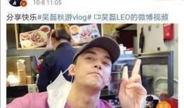 直播爆料吴磊视频大全,揭秘明星幕后趣事