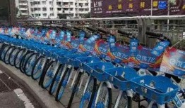 共享自行车爆料案例最新,揭秘行业乱象与用户权益挑战