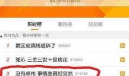 卓伟爆料林允单车视频,单车视频曝光引网友热议