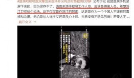 奚安娜后期爆料视频大全,揭秘幕后真相与心路历程