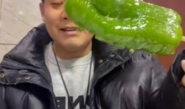 网红a毛毛吃瓜,揭秘娱乐圈幕后真相