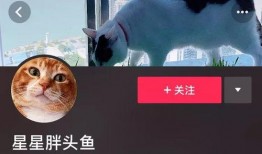 抖音爆料网红狗子视频,萌态可掬引网友热议