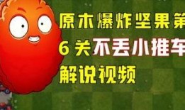 天全爆料视频大全,揭秘热点事件背后的真相