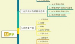 火葬司仪爆料视频大全集,揭秘生死仪式背后的真实故事