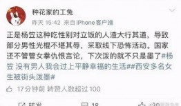 娱乐圈搞笑吃瓜小说免费阅读,笑料百出，瓜田乱舞，免费畅读